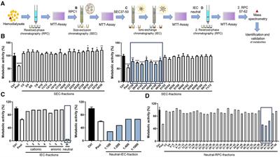 Increased levels of a mycophenolic acid metabolite in patients with kidney failure negatively affect cardiomyocyte health